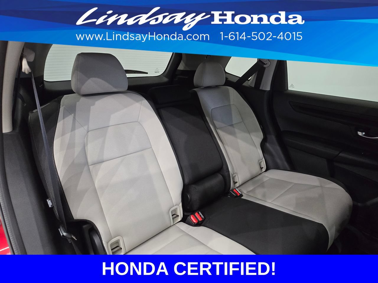 Certified 2024 Honda CR-V EX image 9