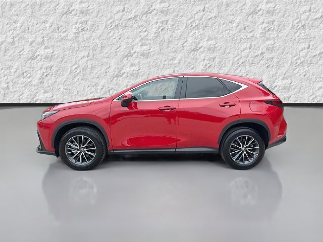 Used 2025 Lexus NX 350 AWD w/ Cold Area Package image 6