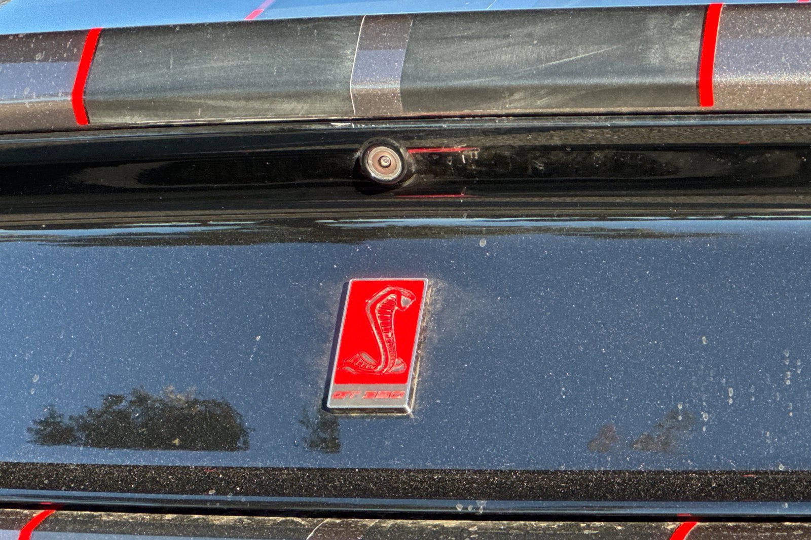 Used 2016 Ford Mustang Shelby GT350R w/ GT350R Equipment Group 920A image 26