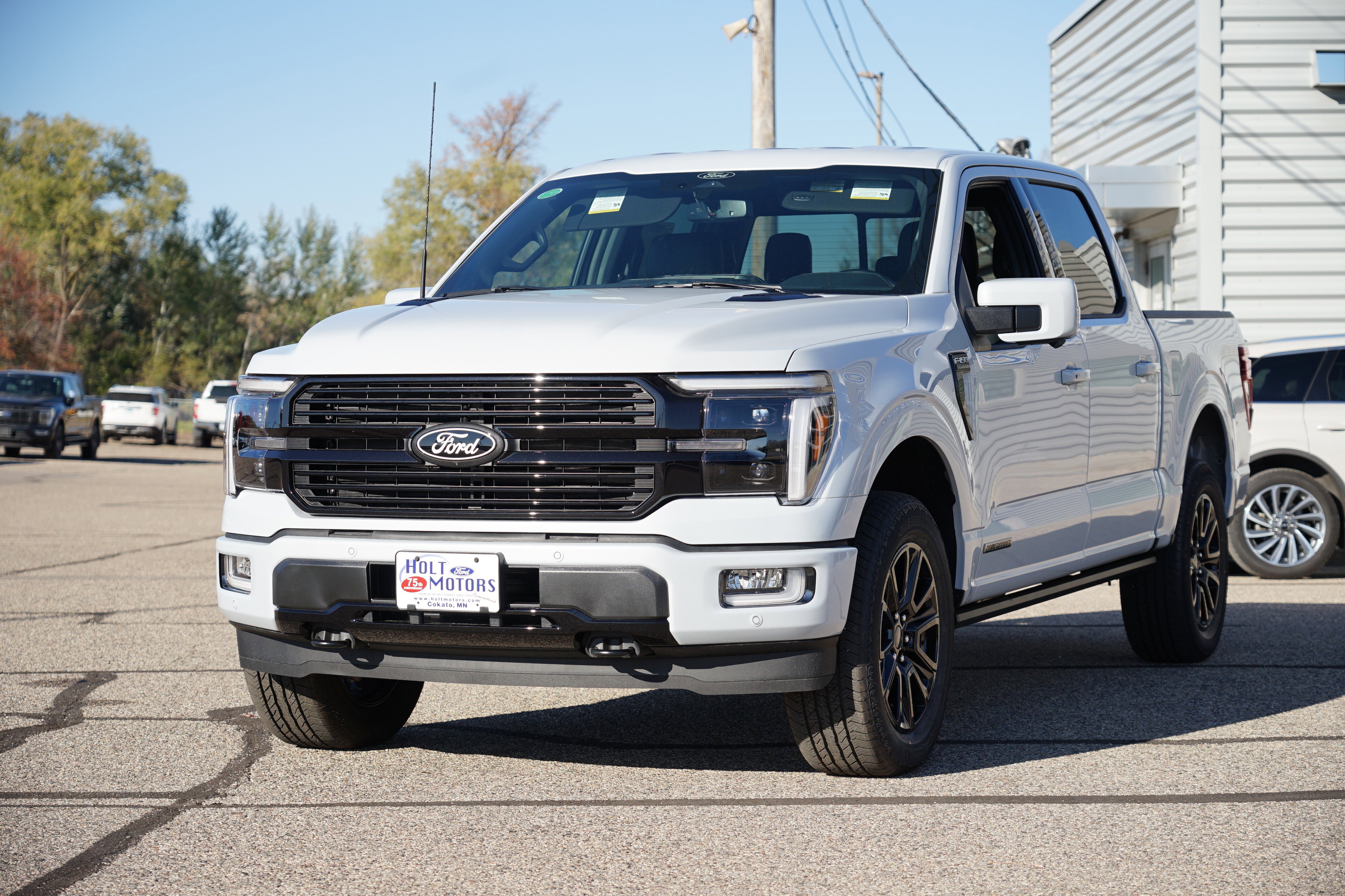 New 2025 Ford F150 Platinum image 7