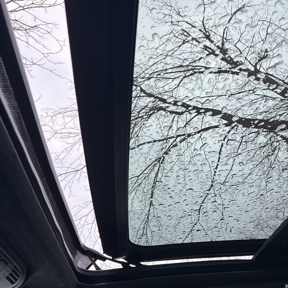 Used 2024 Cadillac Escalade Premium Luxury Platinum image 11