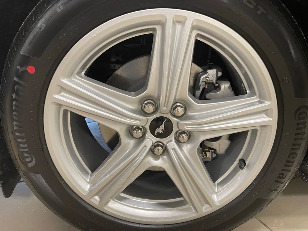 New 2026 Ford Mustang EcoBoost image 5