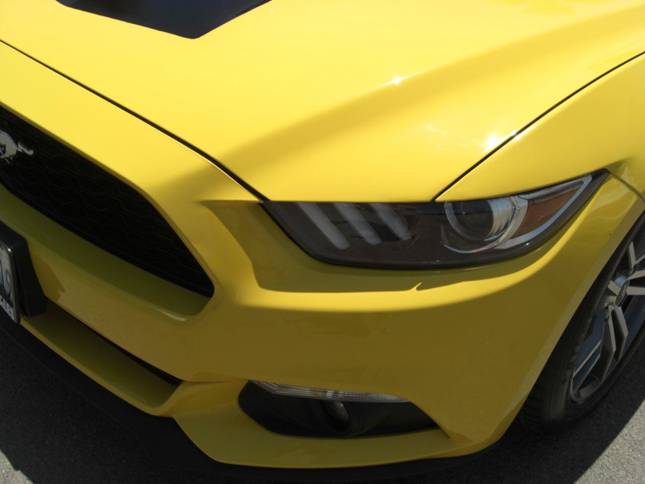 Used 2017 Ford Mustang Coupe w/ Enhanced Security Package RWD image 5
