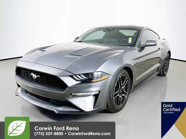 Certified 2023 Ford Mustang Premium RWD image 3