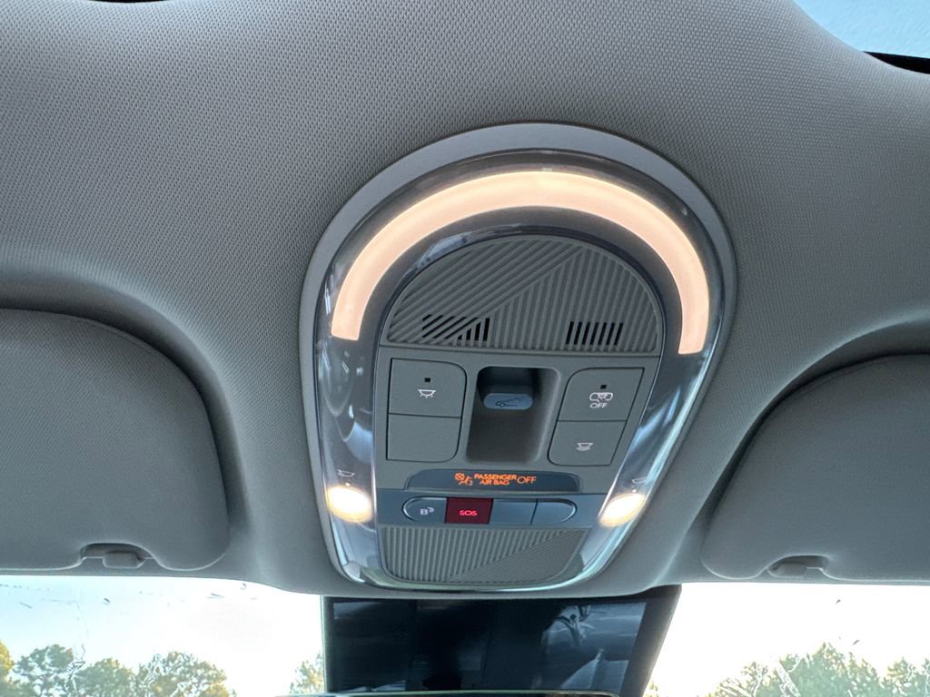 New 2026 Hyundai Ioniq 9 Limited image 21