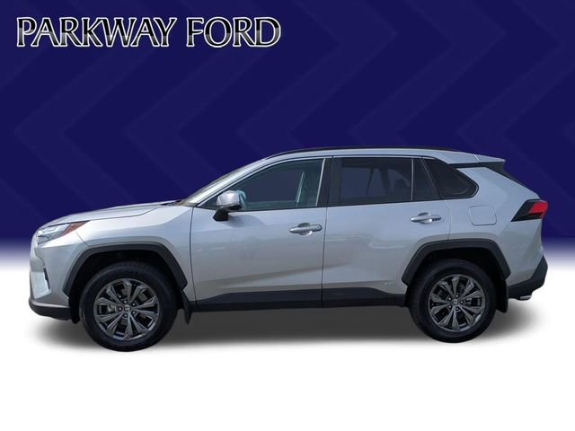 Used 2024 Toyota RAV4 XLE Premium w/ Weather Package image 8