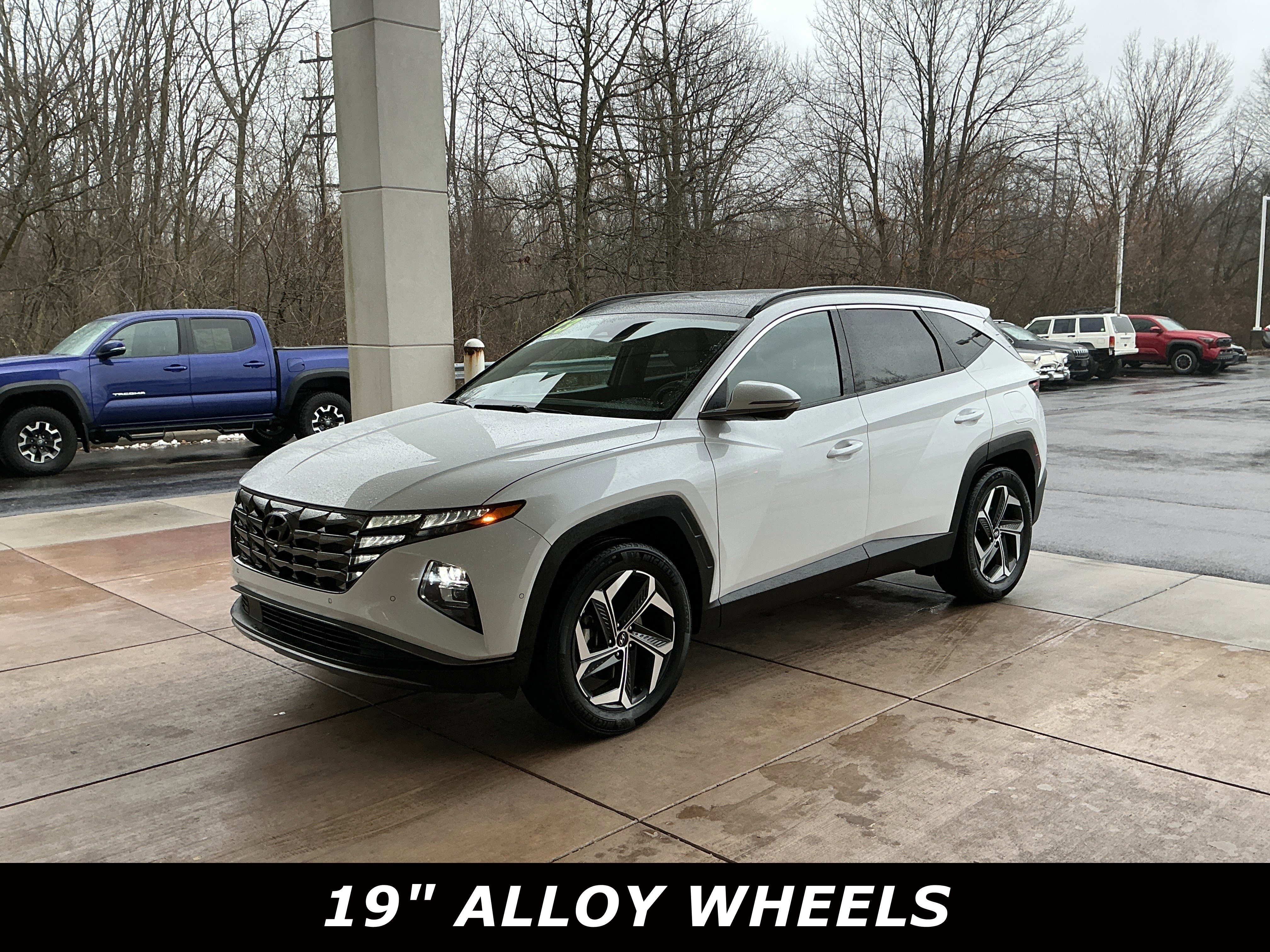 Used 2023 Hyundai Tucson Limited image 3