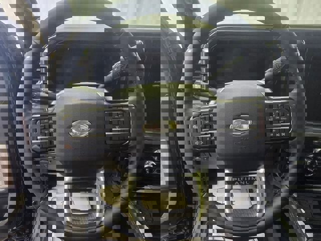 New 2025 Ford F350 Platinum w/ FX4 Off-Road Package image 8