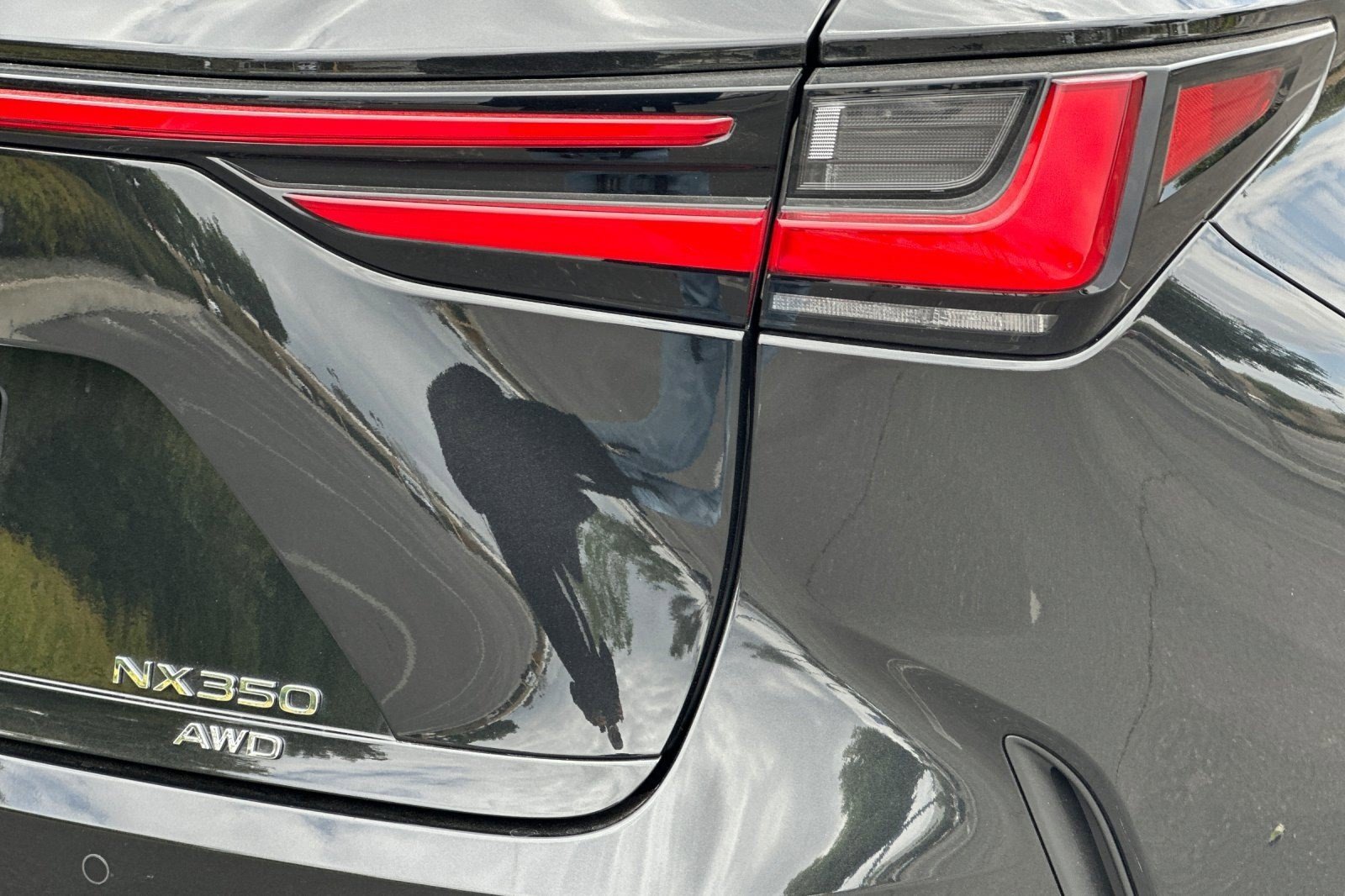Certified 2026 Lexus NX 350 AWD w/ Accessory Package (Z1) image 13