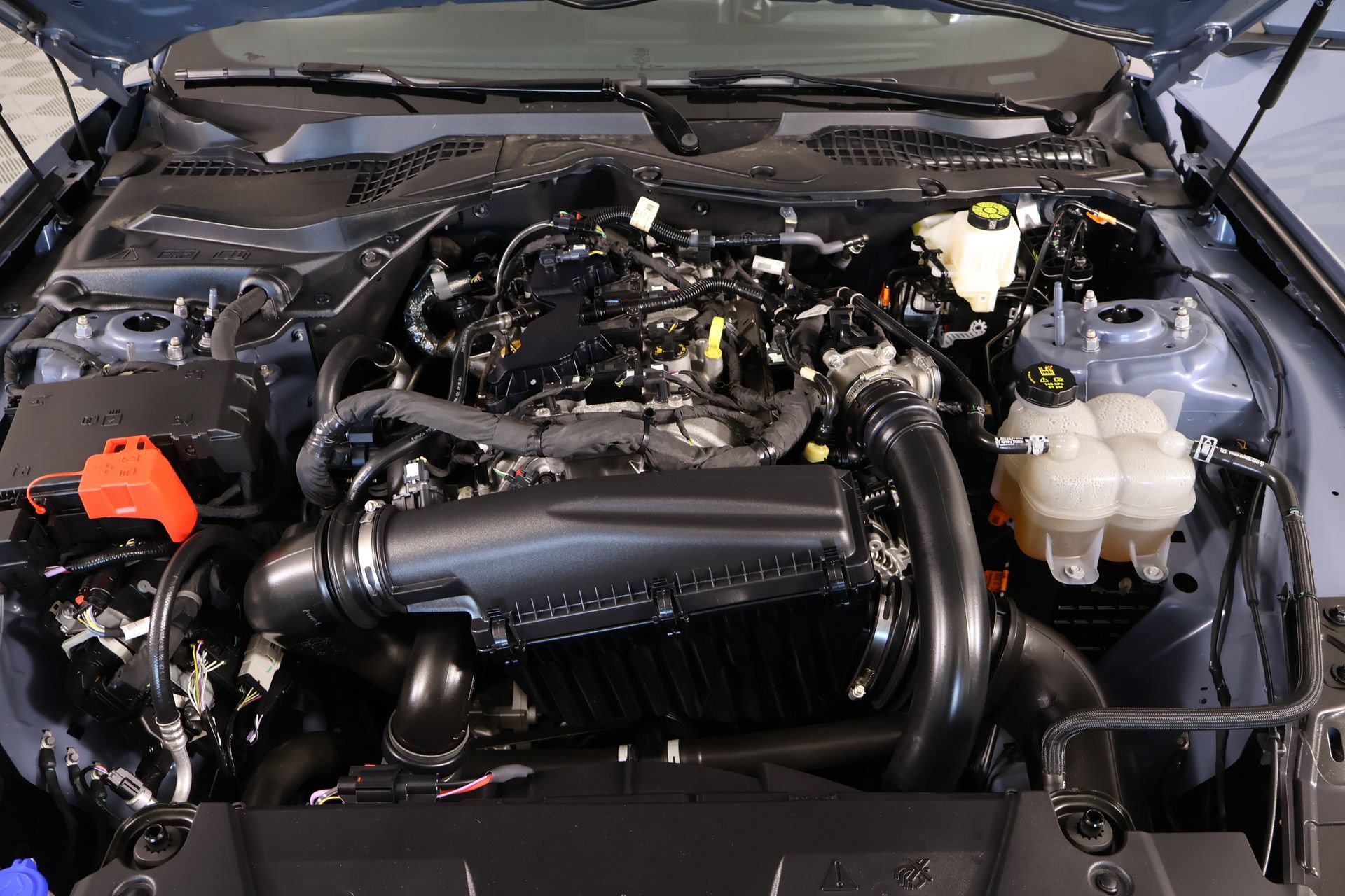 Used 2025 Ford Mustang EcoBoost image 18