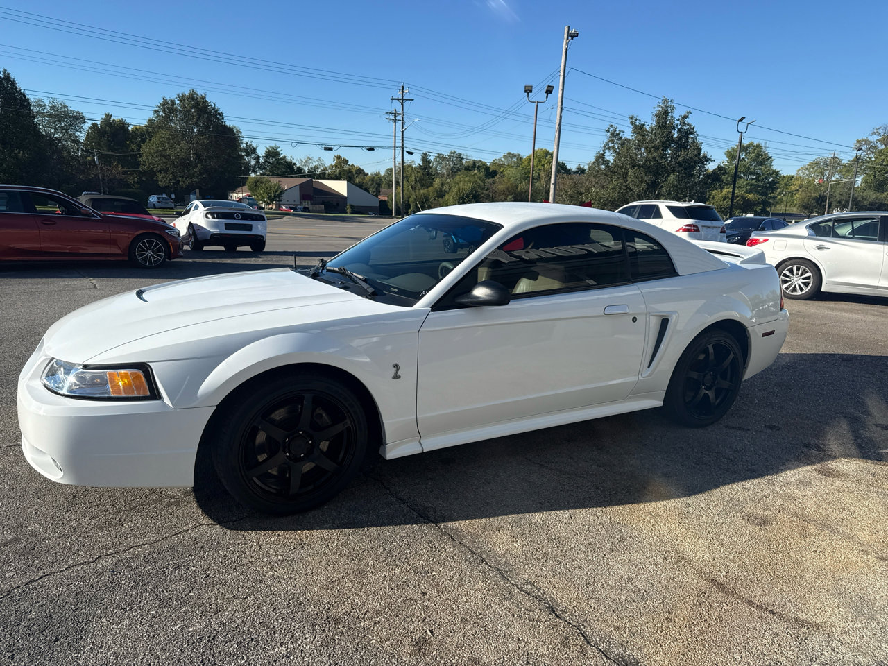 Used 1999 Ford Mustang Cobra image 11