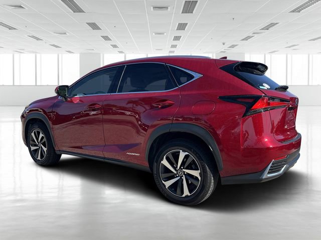 Used 2021 Lexus NX 300h AWD w/ Premium Package image 6