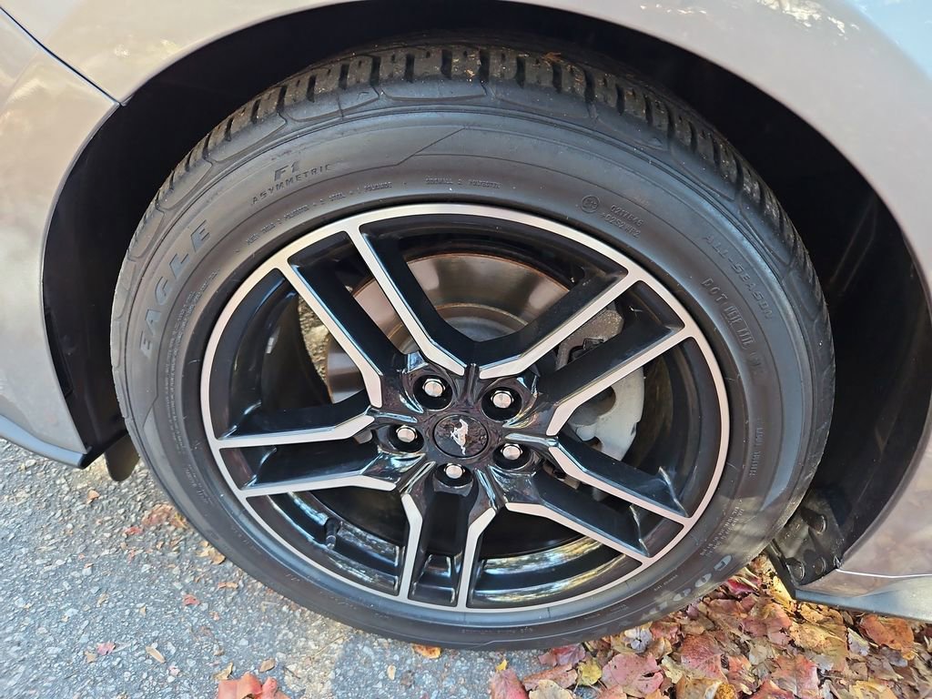 Used 2022 Ford Mustang EcoBoost w/ Equipment Group 101A image 27