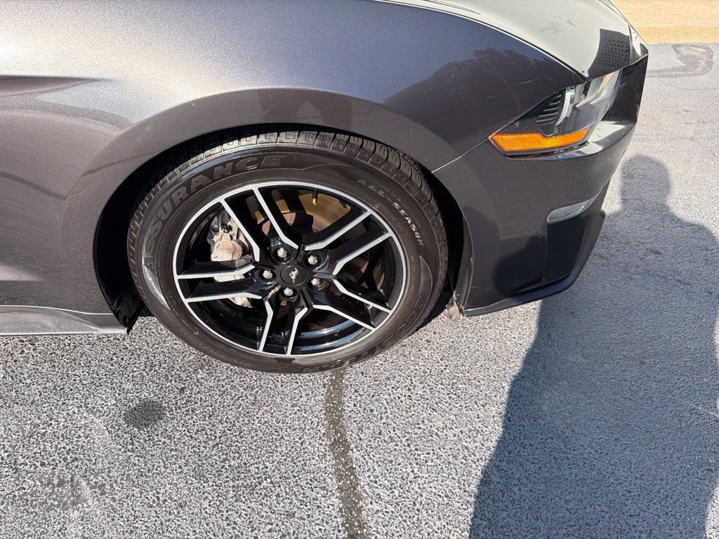 Used 2019 Ford Mustang GT Premium RWD image 16