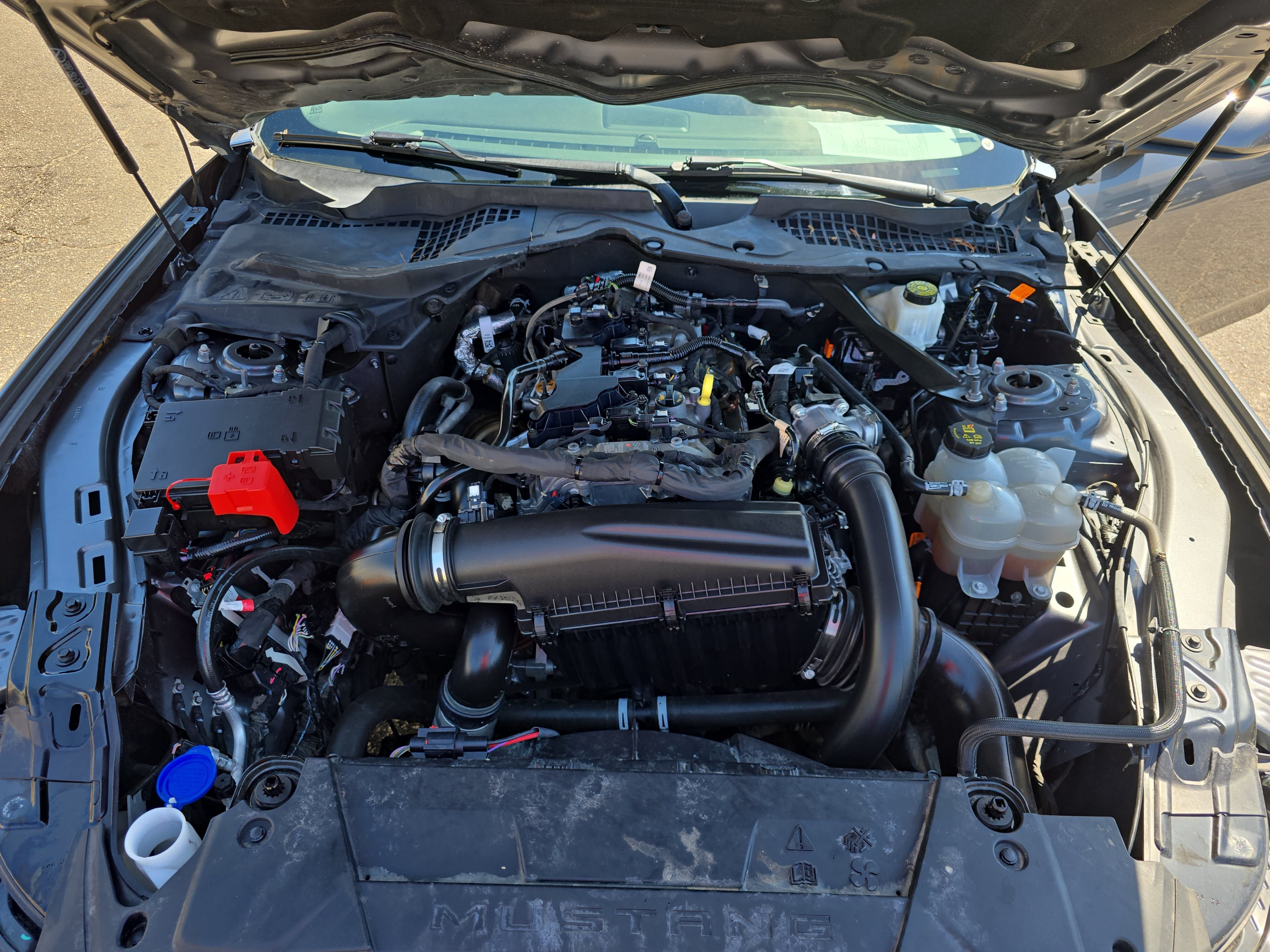Used 2024 Ford Mustang Premium RWD image 29