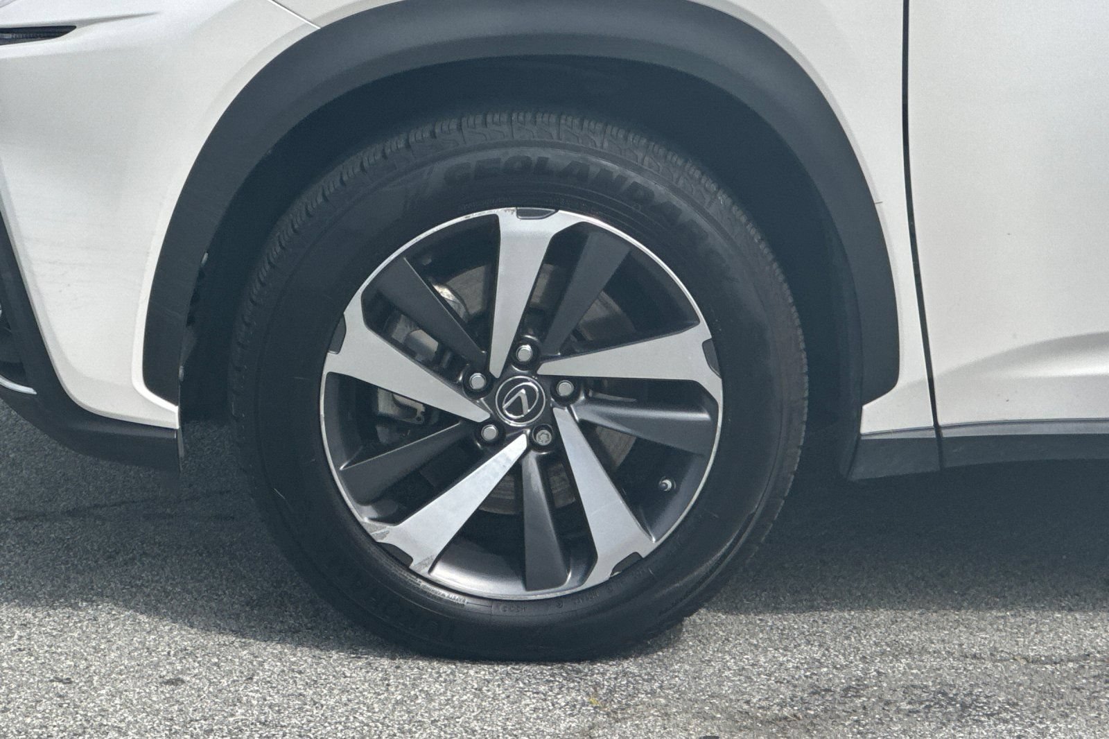 Used 2019 Lexus NX 300h AWD w/ Premium Package image 26