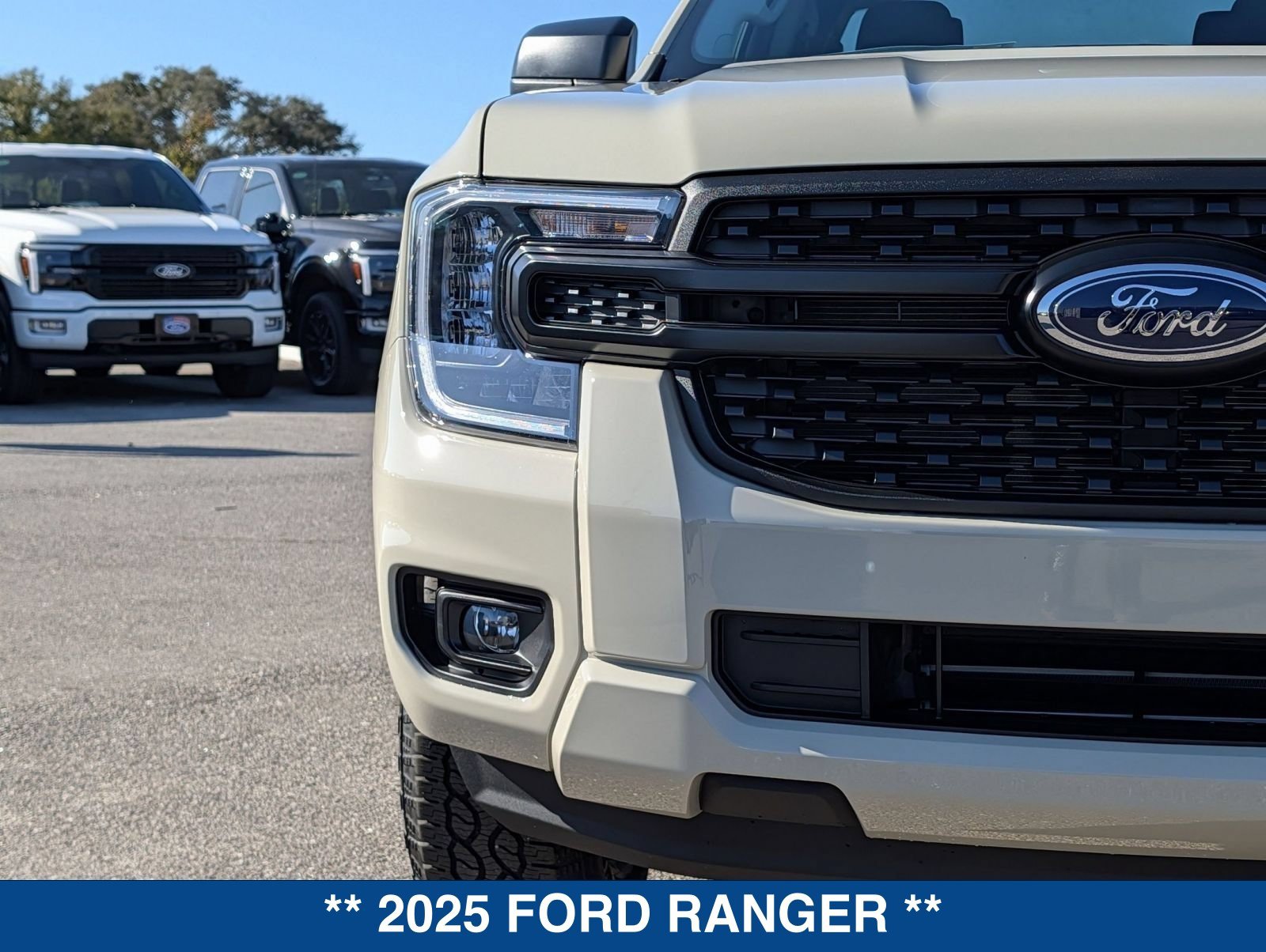 New 2025 Ford Ranger XL RWD image 11