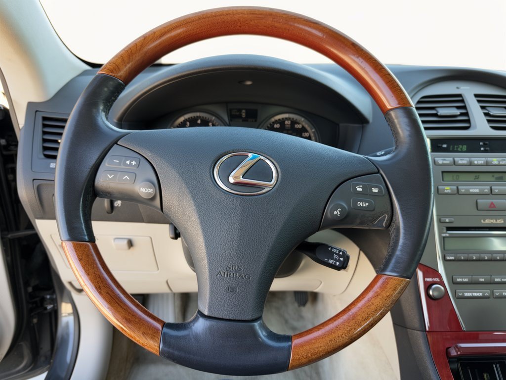 Used 2009 Lexus ES 350 w/ Premium Pkg Plus FWD image 10