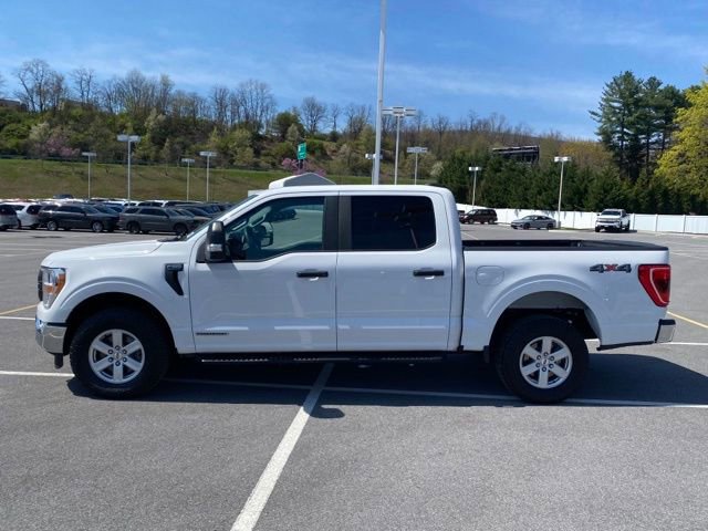Used 2021 Ford F150 XL w/ Trailer Tow Package image 2