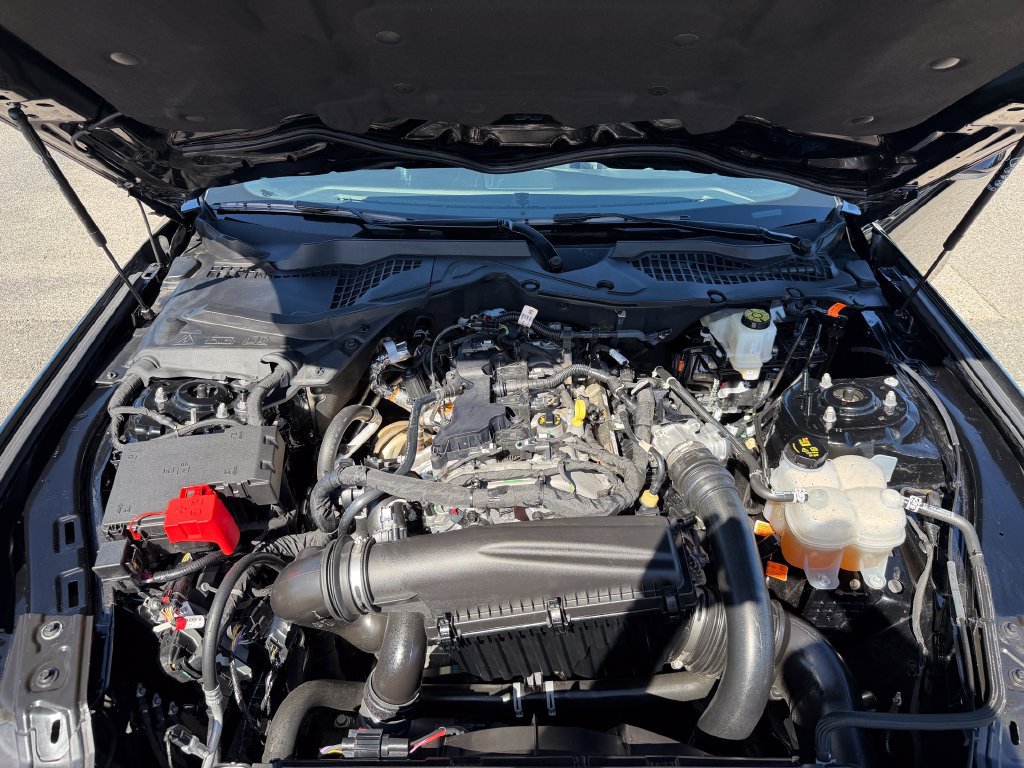 Used 2025 Ford Mustang Coupe RWD image 14