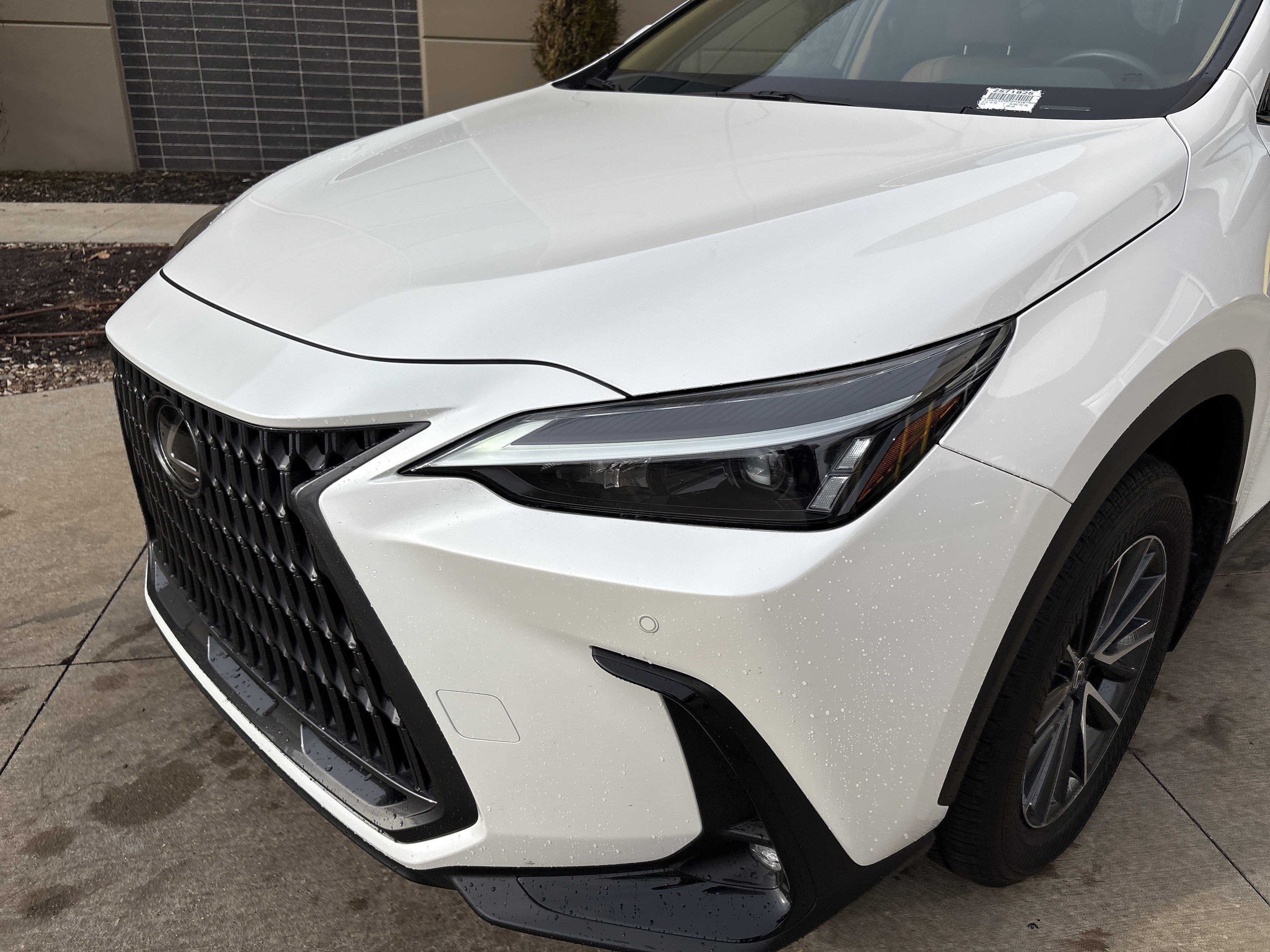 Used 2025 Lexus NX 350 AWD image 6