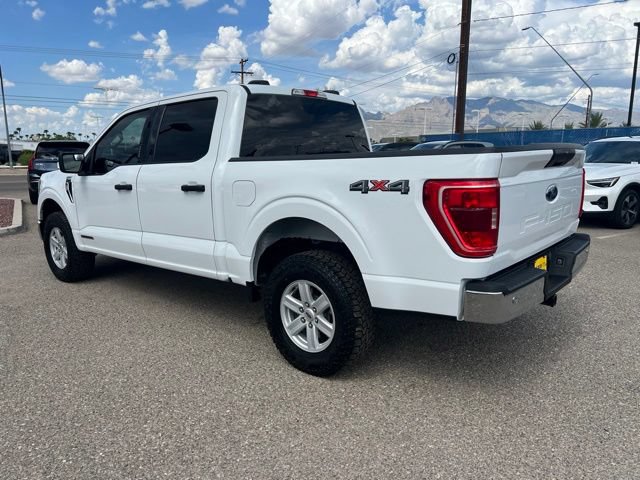 Used 2023 Ford F150 XLT w/ Equipment Group 301A Mid AWD/4WD image 5