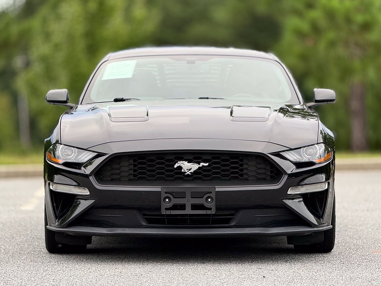 Used 2019 Ford Mustang Coupe RWD image 3