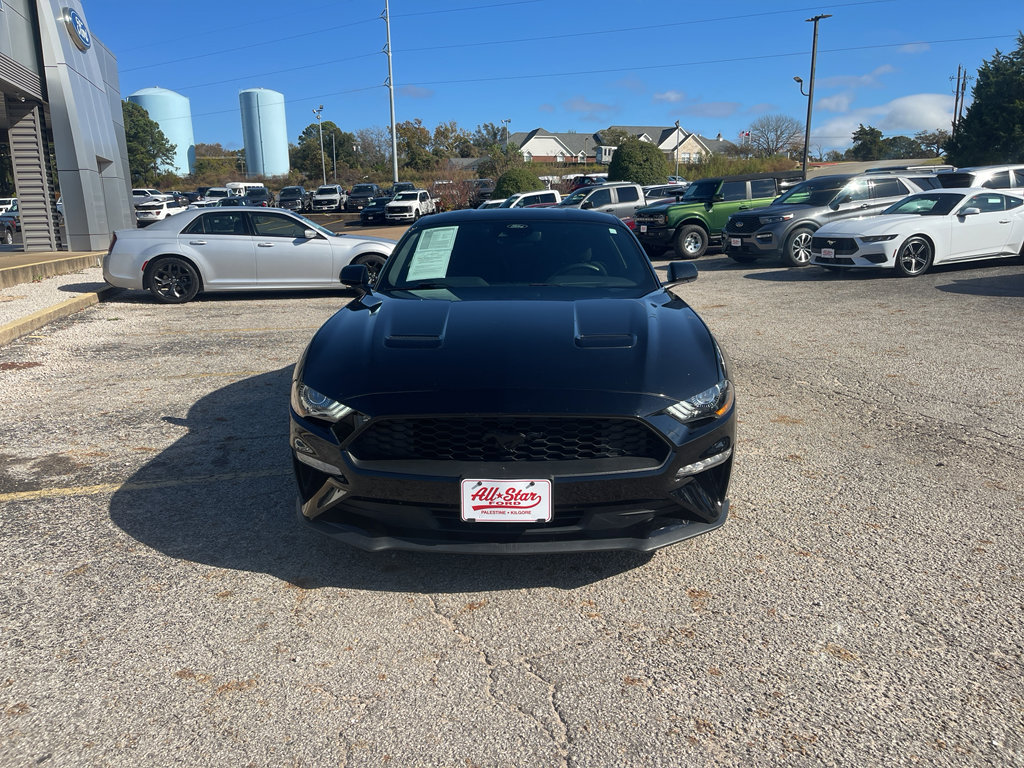 Used 2022 Ford Mustang EcoBoost w/ Equipment Group 101A image 3