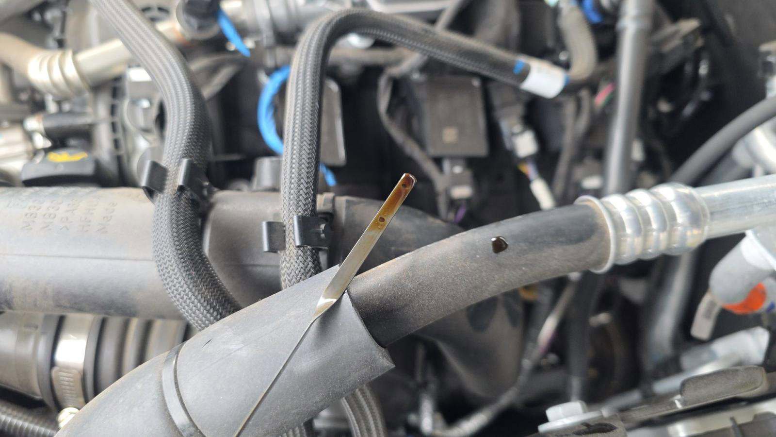 Used 2025 Ford Bronco Badlands image 12