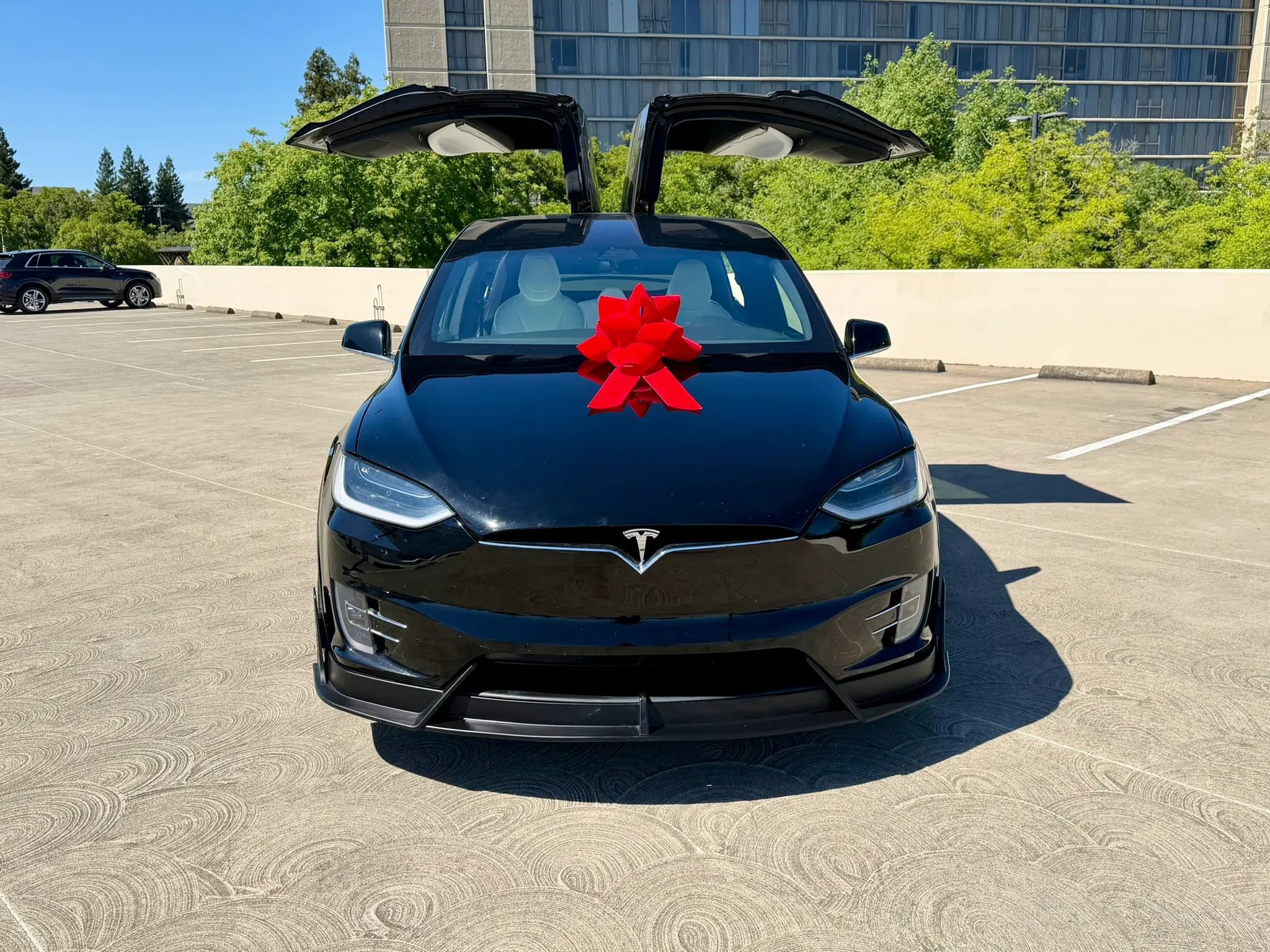 Used 2019 Tesla Model X 100D AWD/4WD image 2