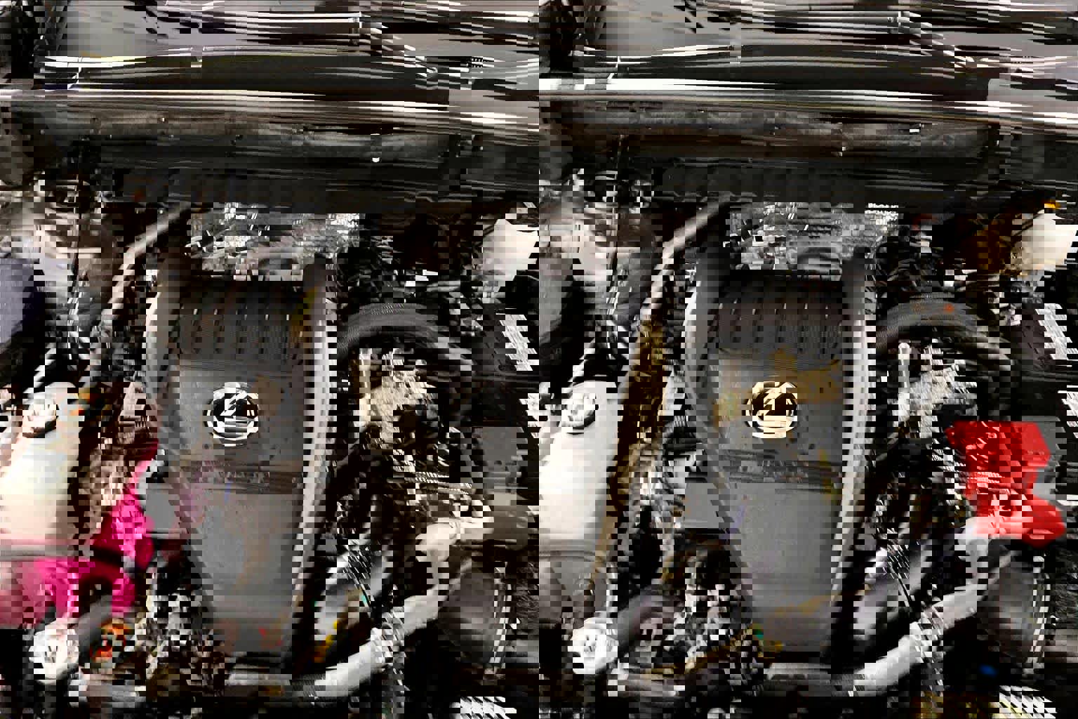 Used 2024 Lexus NX 350 AWD w/ Cold Area Package image 31