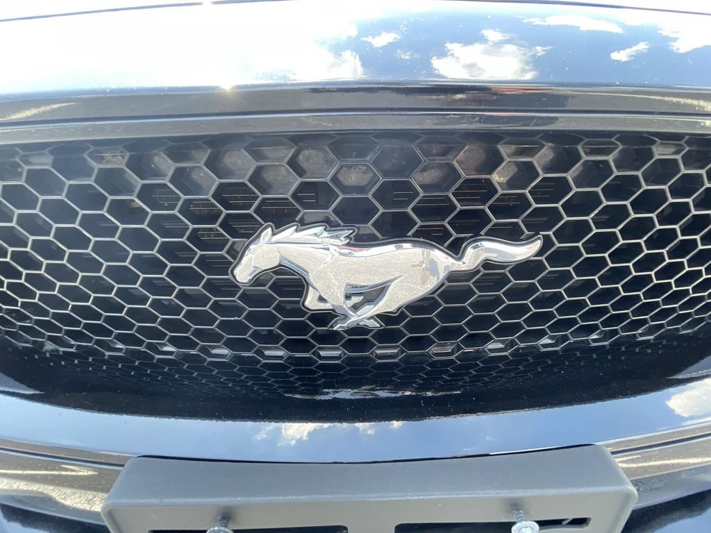Used 2021 Ford Mustang GT w/ Equipment Group 301A RWD image 28