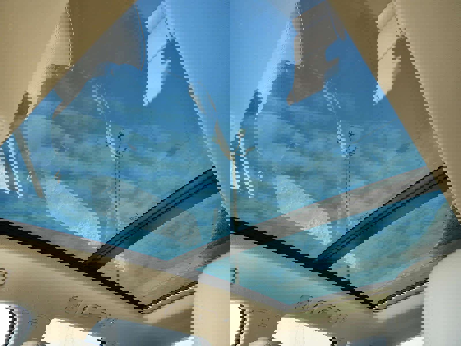 Used 2020 Audi Q5 Premium Plus w/ Premium Plus Package image 30