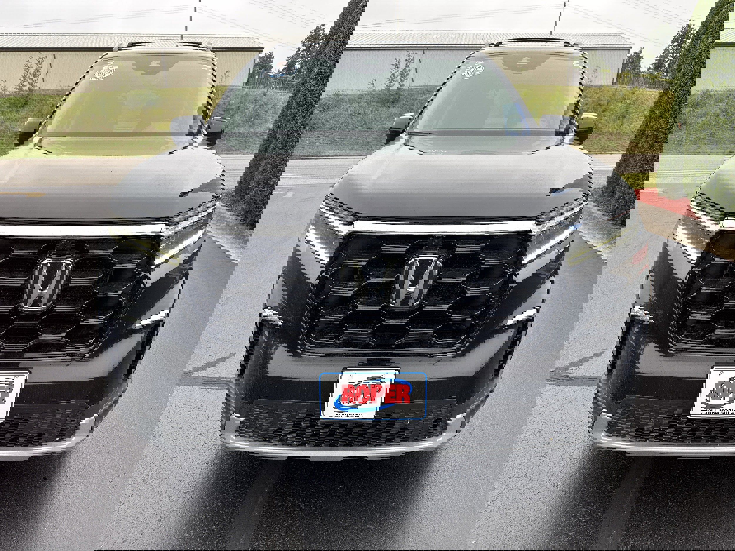 Used 2023 Honda Pilot Elite image 2