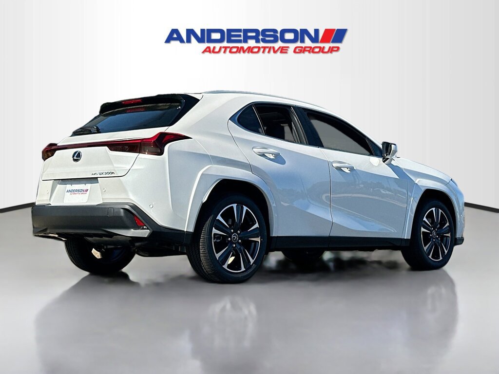 New 2025 Lexus UX 300h AWD image 2