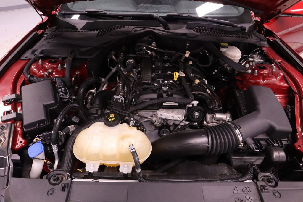 Certified 2021 Ford Mustang Convertible image 13