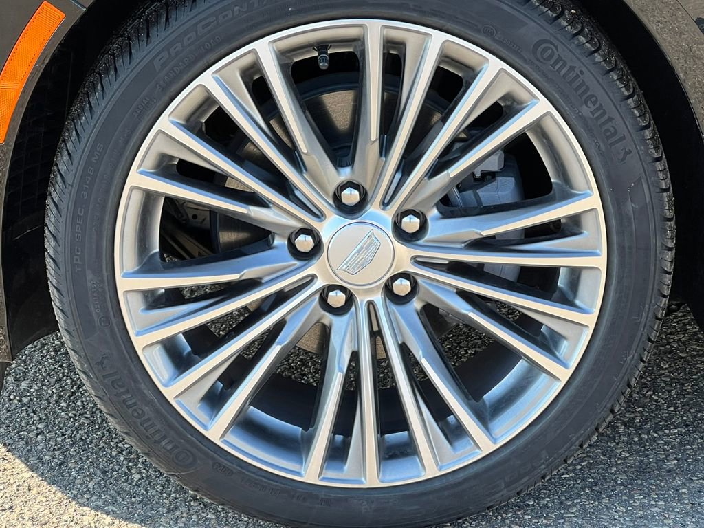 New 2025 Cadillac CT4 Premium Luxury image 6