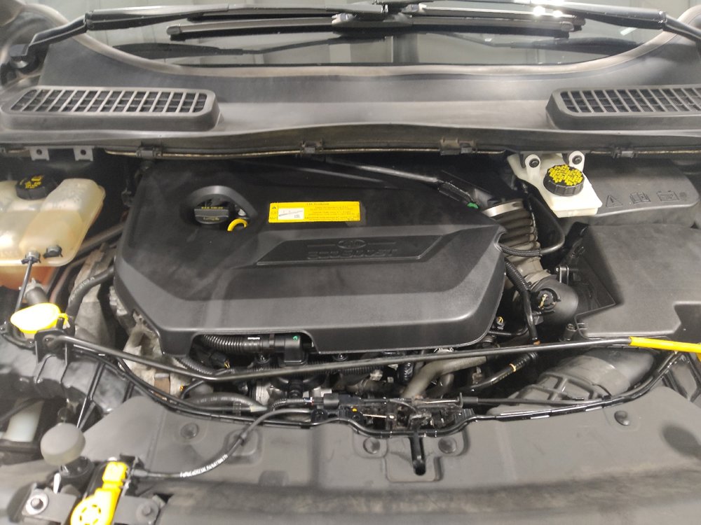 Used 2016 Ford Escape SE w/ Equipment Group 201A image 30