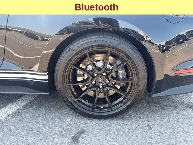 Used 2019 Ford Mustang Shelby GT350 w/ Technology Package RWD image 9