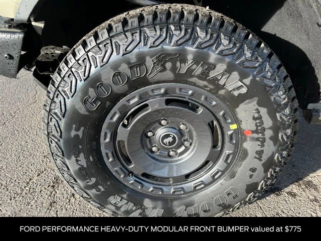 New 2025 Ford Bronco Badlands image 12