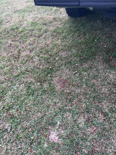 Used 2012 Ford F150 XLT w/ XLT Chrome Pkg image 15