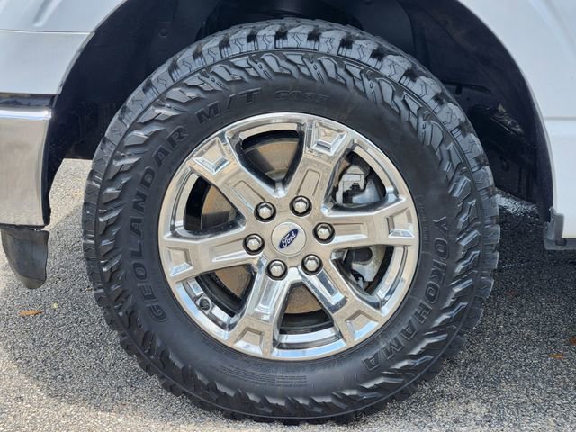 Used 2023 Ford F150 XLT w/ Equipment Group 301A Mid image 8