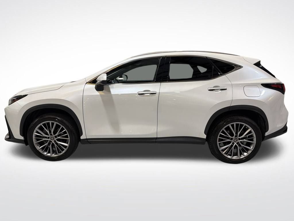 Used 2023 Lexus NX 350h 350h Luxury image 10