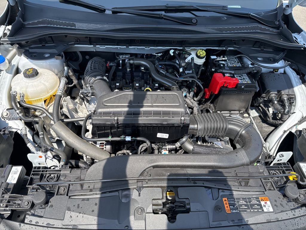 Used 2025 Ford Escape ST-Line w/ Cold Weather Package image 12