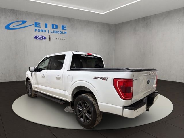 Used 2023 Ford F150 XLT w/ Equipment Group 302A High image 8