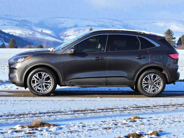 Certified 2020 Ford Escape SEL image 3