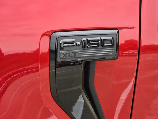 Used 2024 Ford F150 XLT w/ Equipment Group 302A MID RWD image 7