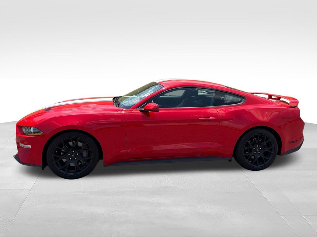Used 2019 Ford Mustang Coupe w/ Ecoboost Performance Package RWD image 5