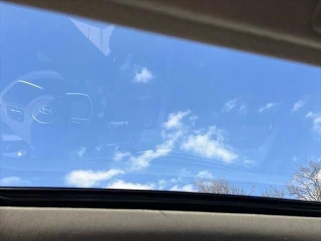 Used 2025 Hyundai Elantra Sport image 12