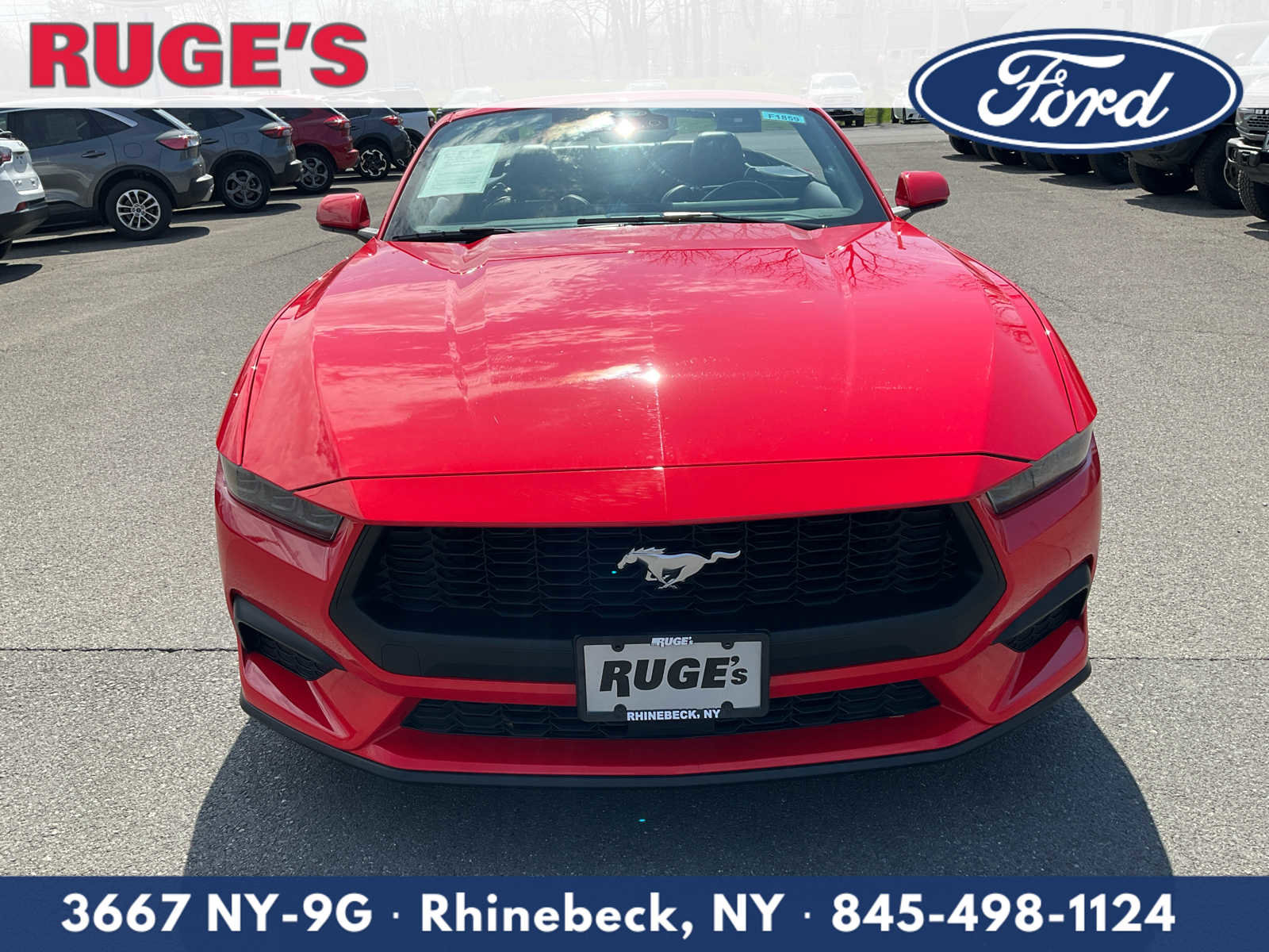 Used 2025 Ford Mustang Premium RWD image 9